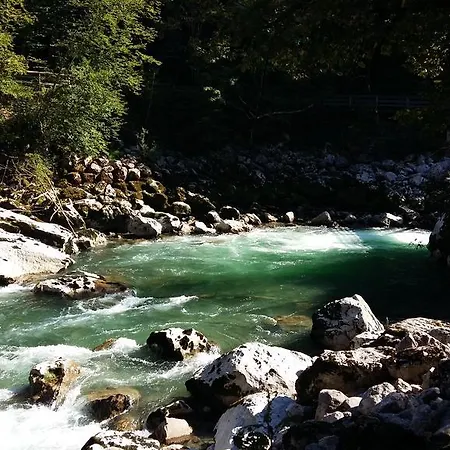 Penzion Forellenstube